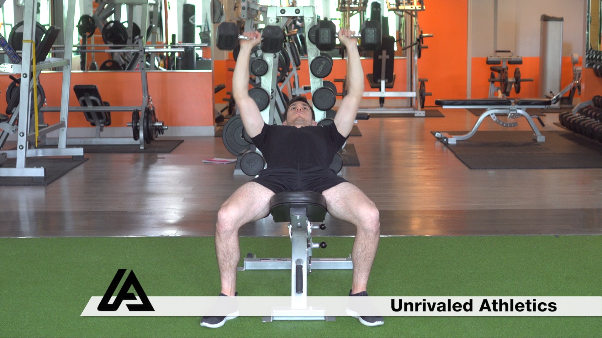 DB Incline Bench Press